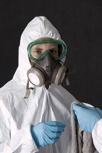 Asbestos and Lead Testing During Mold Inspection